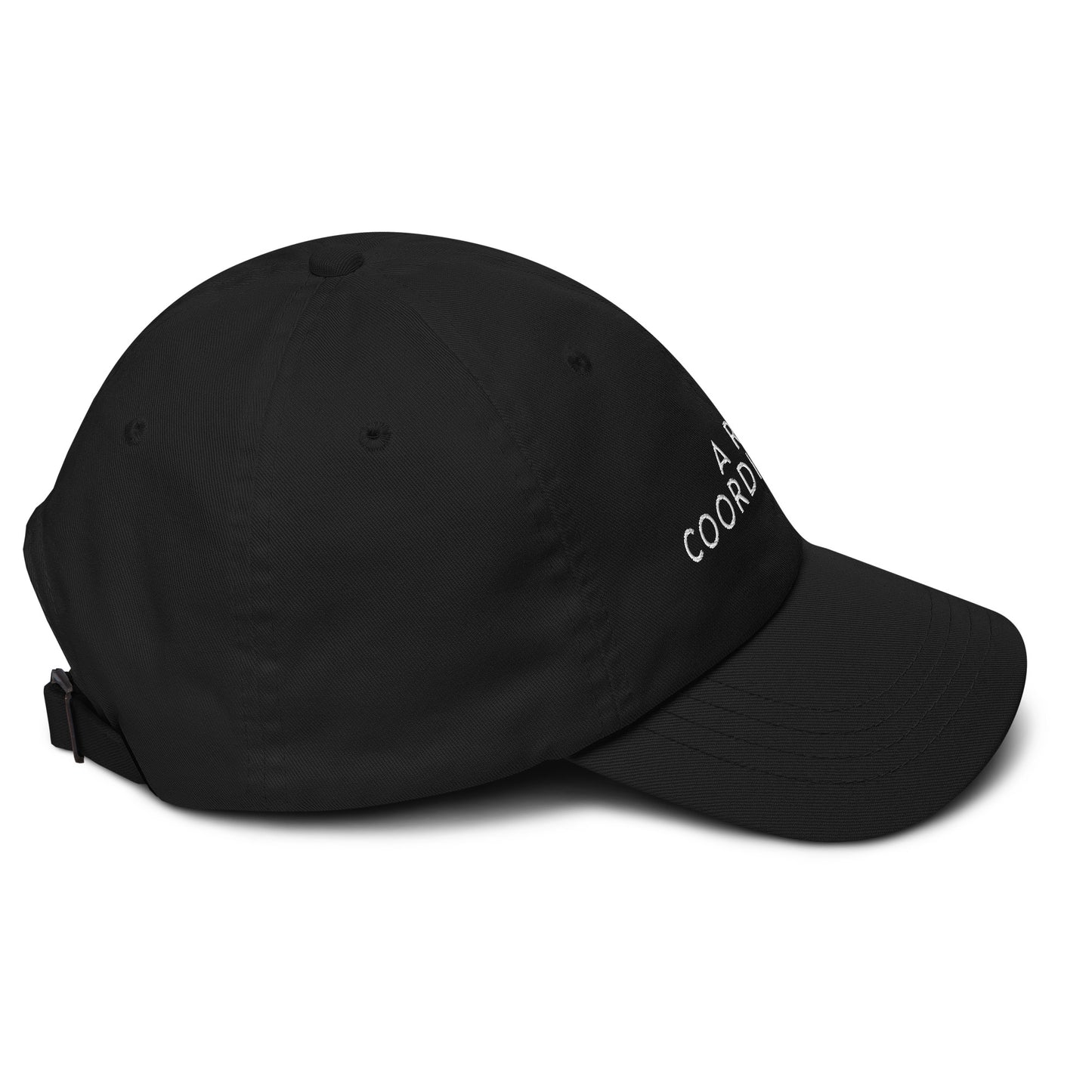 Art Coordinator Hat