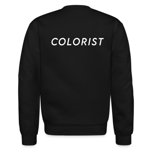 Colorist Crew Sweatshirt - black